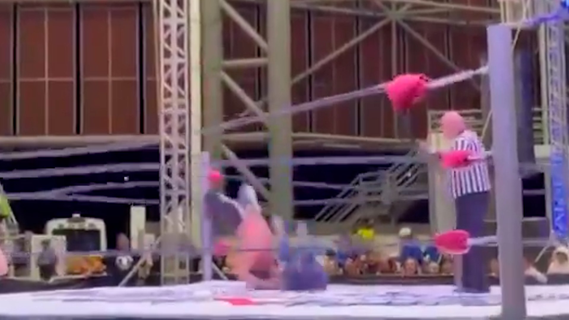 Who is Misterius? The fighter who could be paralytic after shocking fall